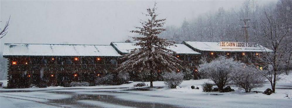 Log Cabin Lodge & Suites Jones Mills Dış mekan fotoğraf